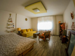 Nica Apartman Novi Sad